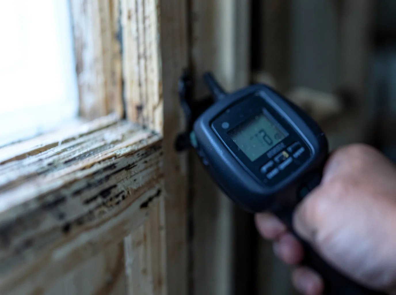 Moisture Inspection And Documentation in Julian, WV